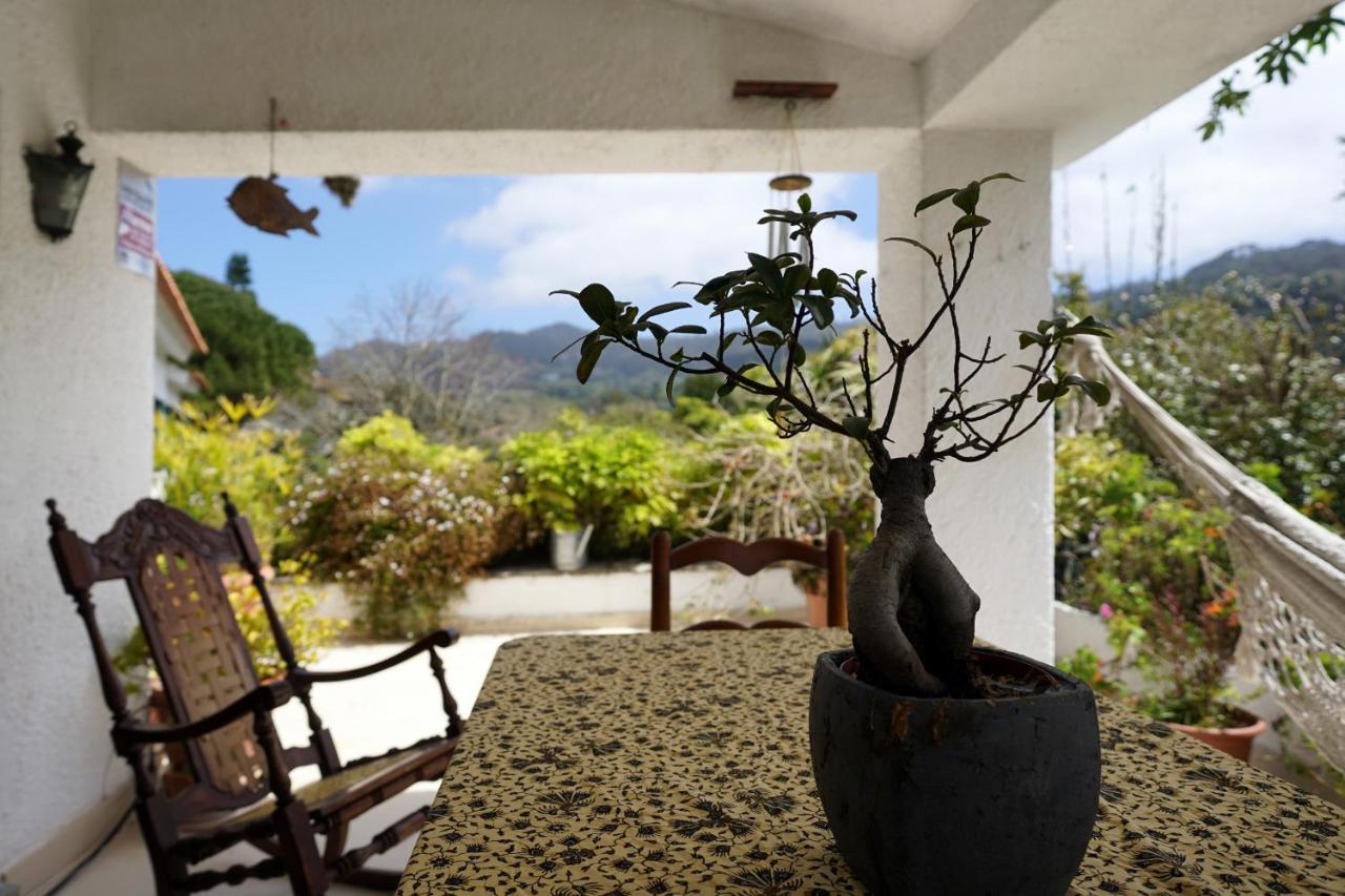 シントラ Casa Da Rampaヴィラ エクステリア 写真